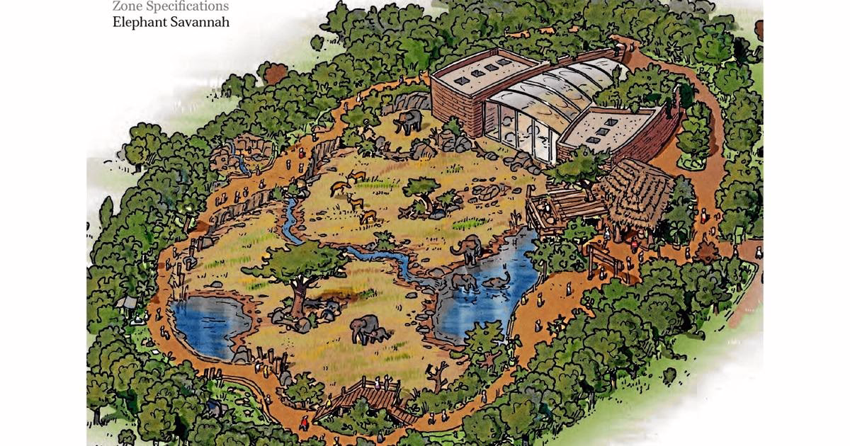 Hvorfor er der ikke elefanter i Aalborg Zoo?