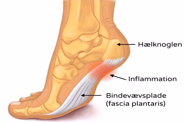 Hvor hurtigt virker Klacid Uno?