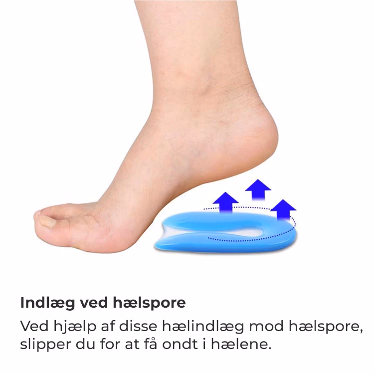 Hvad koster Mølholm forsikring?